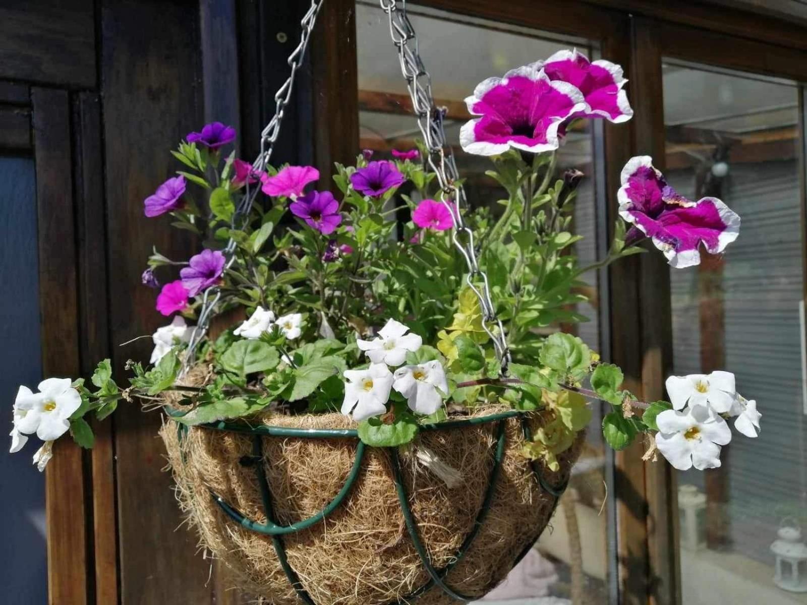 Normand Holiday Home - Vire Calvados Relaxing Rural Retreat Le Reculey ภายนอก รูปภาพ